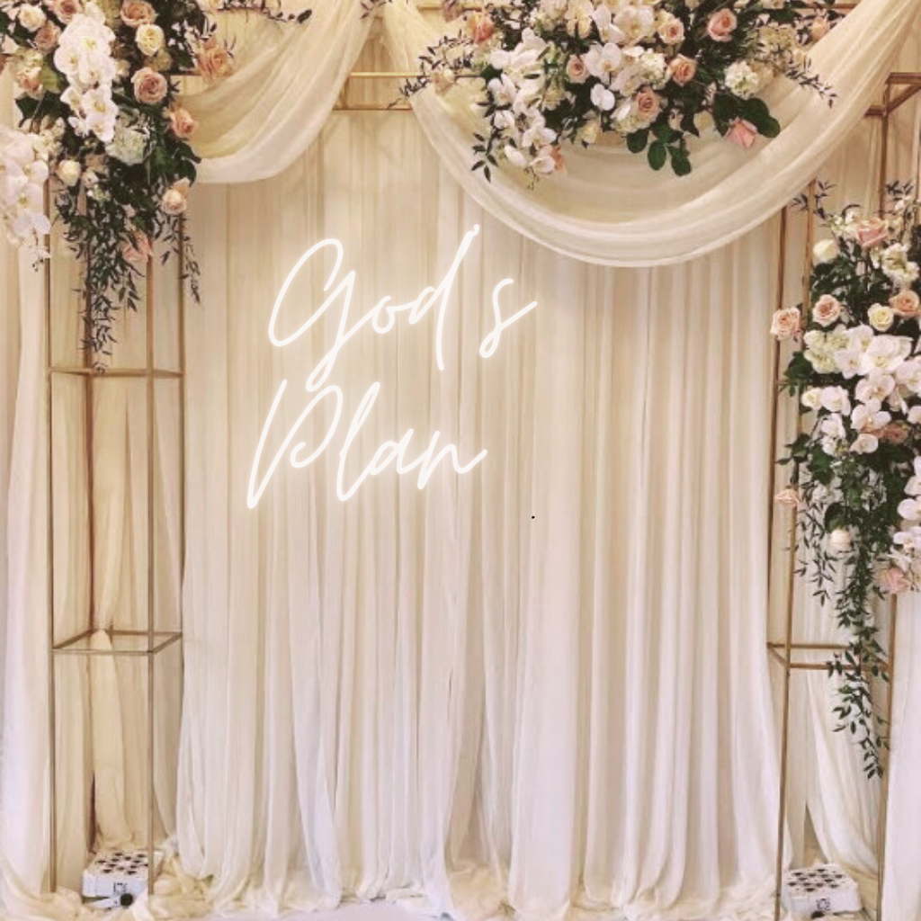 God's Plan Wedding LED Neon Sign